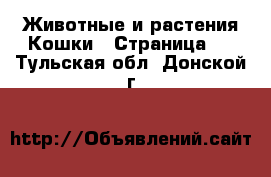 Животные и растения Кошки - Страница 5 . Тульская обл.,Донской г.